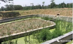 农村生活污水中氨氮的处理该怎么办？